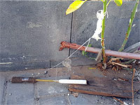 В Лоде найден