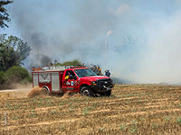 Пожар в Савьоне, погибли 11 лошадей 