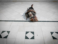 Проживающие в Израиле сикхи попросили главного министра Пенджаба помочь им построить свой храм