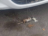 В Гиват-Зеэве обнаружен