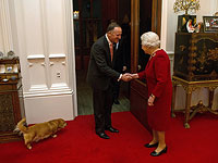 Умер последний вельш-корги королевы Елизаветы