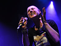 Шинейд О'Коннор выступила против Бар Рафаэли, срывающей с себя хиджаб