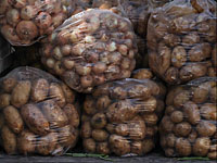 Египетскую полицию