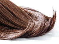 10-й канал: в 