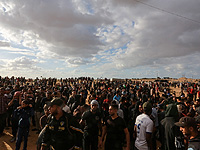 Египетская делегация приняла участие в показательном 