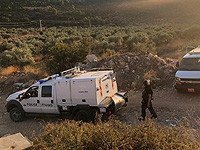 На территории местного совета Джулис найдены три взрывных устройства 
