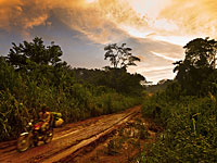 В Камеруне похищены 80 человек – учащиеся и  директор школы 