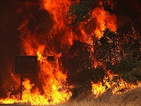 Лесной пожар в Калифорнии: почти полностью сгорел городок Парадайс, есть жертвы