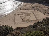 Не смытые временем: павшие солдаты на побережье Британии. Фоторепортаж