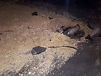 СМИ: погибший в результате обстрела Ашкелона оказался палестинским арабом из Хеврона