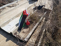 В поселке Мелеа обнаружен воздушный шар с палестинским флагом