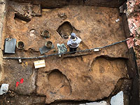 Археологи нашли в Подмосковье череп мамонта с кладом внутри