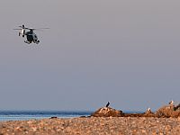 В Доминиканской республике разбился вертолет, погибли шесть человек