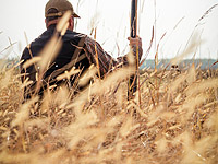 Задержаны трое арабов-охотников, незаконно проникших на территорию Израиля