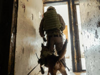 Прошли учения кинологического подразделения ЦАХАЛа 