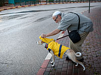 Метеорологи: мы пережили самые дождливые выходные за последние 17 лет