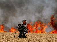 World Press Photo 2018 и 