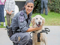 Ретривер Бон, 