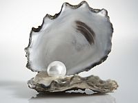 В блюде посетителя ресторана в Нью-Йорке оказалась дорогая жемчужина