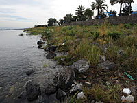 С начала зимы уровень воды в Кинерете поднялся лишь на 6,5 см