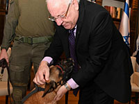 Президент Ривлин принял бойцов ЯМАМ и собаку Рембо, обезвредивших 