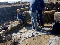 Синагогу с головой Самсона спасли от 