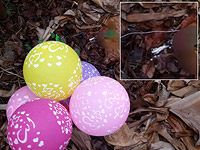 В районе Сдот Негев найдены 