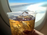 Авиарейс Сочи-Москва был прерван из-за дебоша пьяного хоккеиста