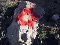 На арабских плантациях к югу от Хеврона повреждены оливковые деревья