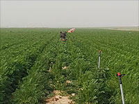 Зафиксирован очередной запуск 