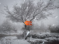 Предварительный прогноз: на этой неделе ожидается снегопад в Иерусалиме