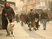 Министерство экологии предупредило о сильном загрязнении воздуха из-за пыльной бури