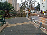 Зимняя буря в Израиле: ливни, град, снегопад и сильный шторм на побережье Средиземного моря