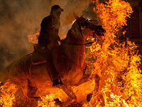 Очищение огнем: день заступника животных в Испании. Фоторепортаж