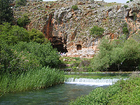 Управление природы сообщает об