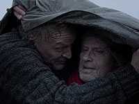 Сценарист культовой