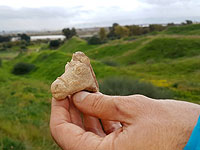 Древние конские фигурки: уникальные находки во время прогулок по северу Израиля