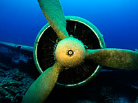 Подводный парк в Бахрейне: Boeing 747 и искусственный риф