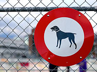 Иранцам запретили выгуливать собак в публичных местах