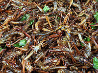 В центре имени Шимона Переса состоялась