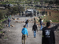 Возобновились беспорядки в Кафр Манда