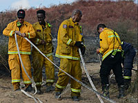 Управление природы и парков готовится к возобновлению