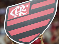 Пожар на базе бразильского футбольного клуба