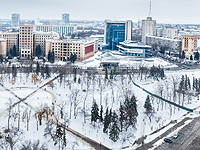 Здание российского консульства в Харькове забросали яйцами и облили зеленкой