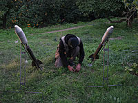 Предпринята попытка минометного обстрела израильской территории из Газы