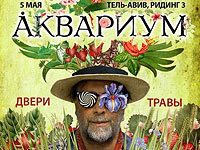 В мае в Израиле Борис Гребенщиков и группа 