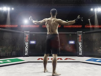 Der Spiegel: Боец-неонацист Денис Капустин-Никитин