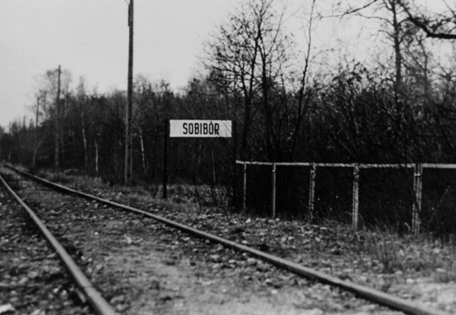 Осенью 1943 года Печерский был отправлен из минского рабочего лагеря в лагерь смерти Собибор Осенью 1943 года Печерский был отправлен из минского рабочего лагеря в лагерь смерти Собибор