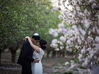 Февральские цветы и закаты Израиля. Фоторепортаж