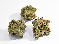 В Индии  задержаны двое израильтян, у которых обнаружили наркотики